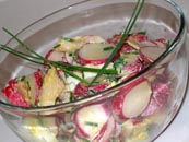 Блюда из редиса и редьки, щавеля и ревеня