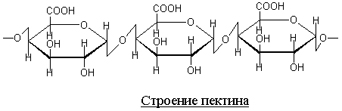 Пектин