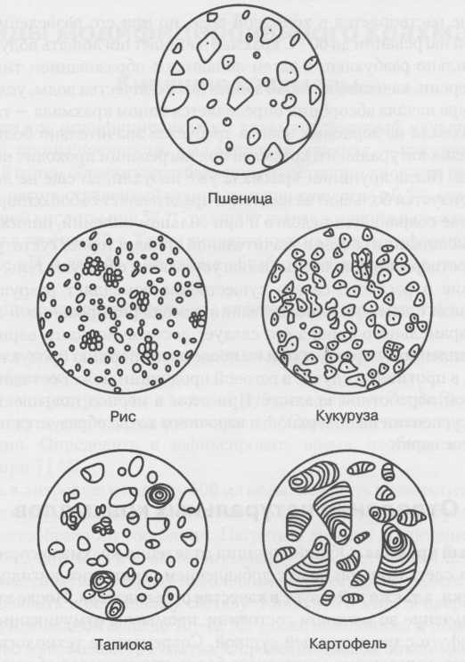 Крахмалы, соевая мука, соевый белок