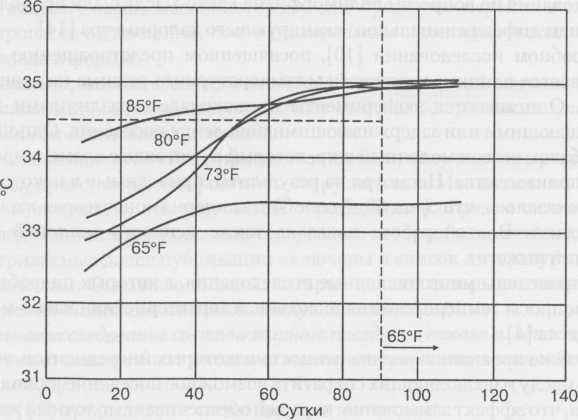 Научные основы и технология производства шоколада и кондитерских изделий