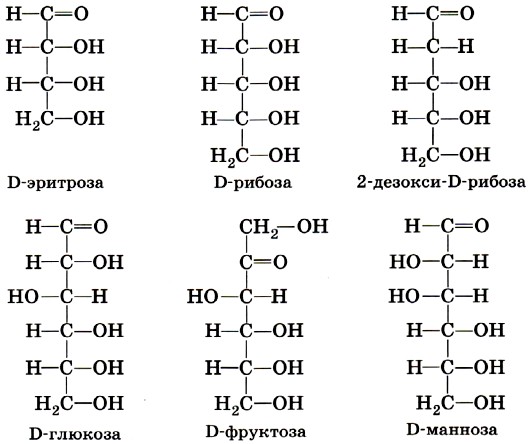Основы пищевой химии