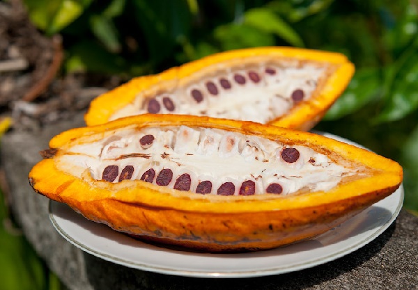 Бобы какао, молочные и яйцепродукты.